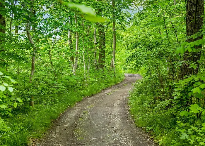 Sandesmose * Broager