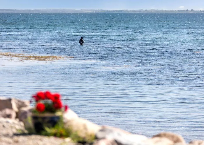 Sandesmose Nyaraló *